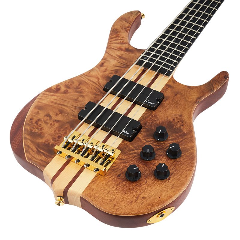Bajo Electrico AYSON BS-13 5 cuerdas - Image 2