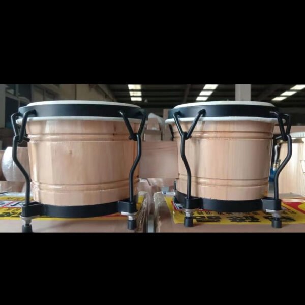 Bongoes MARCA AYSON BGD-67A