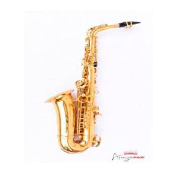 Saxofón Tenor AYSON AT-1
