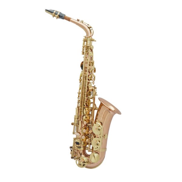 Saxofón Alto AYSON-AS-3